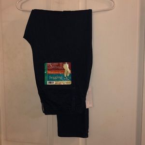 Faded Glory 1XL Jeggings